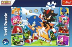 Trefl Puzzle Sonic: Ismerd meg a sündisznót 100 darab