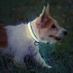 HARLEY® Világító nyakörv kutyáknak, kis méretű kutya nyakörv, tölthető fényes kutyanyakörv, ideális bármely kutya pórázhoz | PETSHINE