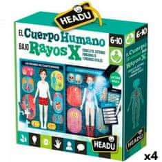 NEW Oktató készlet gyerekeknek HEADU El cuerpo humano Rayos X (4 db)