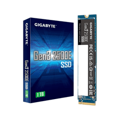 Gen3 2500E SSD 1TB M.2 PCI Express 3.0 3D NAND NVMe (G325E1TB)