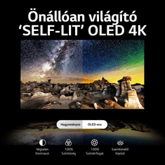 LG C3 OLED42C31LA 42" 4K Smart OLED TV (OLED42C31LA)