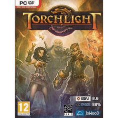 Runic Games Torchlight (PC - Steam elektronikus játék licensz)