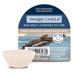 Yankee Candle Vonný vosk , Ambra a santalové dřevo, 22 g