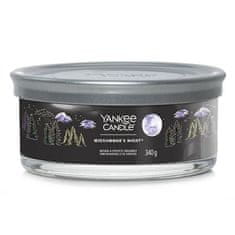 Yankee Candle Svíčka ve skleněném válci , Letní noc, 340 g