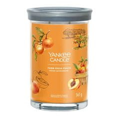 Yankee Candle Svíčka ve skleněném válci , Čerstvá farmářská broskev, 567 g