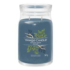 Yankee Candle Svíčka ve skleněné dóze , Pobřežní cedr, 567 g