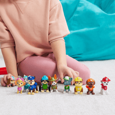 Spin Master PAW Patrol PAW FIG All Paws Gift Pack GML (6065255)