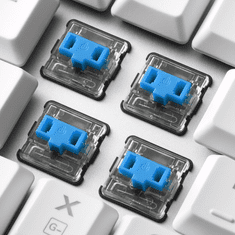 Sharkoon PureWriter TKL RGB Mechanikus (Kailh Blue) USB Gaming Billentyűzet - Angol (US) - Fehér (4044951034291)