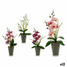 NEW Dísznövény Orchidea Műanyag 8 x 35 x 14 cm (12 db)