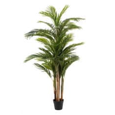 NEW Polietilén Areca 189 cm