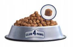 Club4Paws Premium szárazeledel minden fajta aktív kutyának Active14 kg