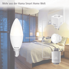 Hama 00176586 energy-saving lamp 5,5 W E14 F (176586)