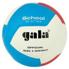 BV5715S Iskola 12 röplabda labda 5 méretű labda