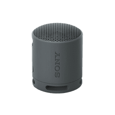 SONY SRSXB100B.CE7 fekete hordozható Bluetooth hangszóró