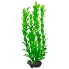 Tetra Dekorációs Növény Hygrophila M 23cm