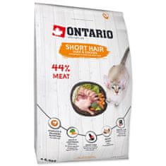 Ontario rövidszőrű macska 6,5kg