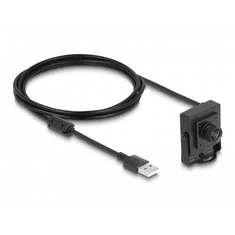 DELOCK Delock USB 2.0 Kamera