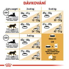 Royal Canin British Shorthair macskaeldel száraztáp, 2 kg