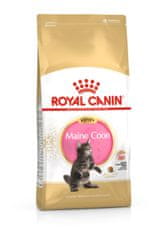 Royal Canin Maine Coon Adult, 2 kg