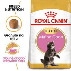 Royal Canin Maine Coon Adult, 2 kg