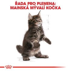 Royal Canin Maine Coon Adult, 2 kg