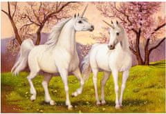 Castorland Puzzle Unicorn love 1000 db