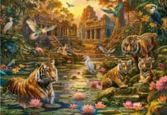 Castorland Puzzle Tiger Paradise 1000 db