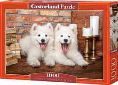 Castorland Puzzle szamojéd kölykök 1000 db