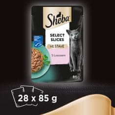 Sheba Alutasakos nedves eledel lazaccal felnőtt macskáknak, 28x 85g