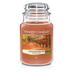 Yankee Candle Illatgyertya Classic nagy Woodland Road Trip 623 g