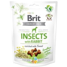 Brit Brit Care Dog Crunchy Cracker. Rovarok nyúllal, édesköménnyel dúsítva 200 g