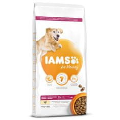 IAMS IAMS Dog Senior Large csirke 12 kg