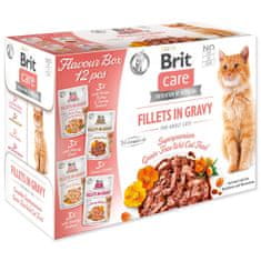 Brit BRIT Care Cat Flavour box Filé mártásban 4 x 3 db 1020 g