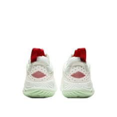 Nike Cipők kosárlabda 45 EU Jordan Delta