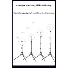 ULANZI UL-2902 Mobiltelefon állvány + RGB körfény - Fekete