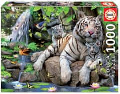 EDUCA Fehér bengáli tigrisek puzzle 1000 darabos puzzle