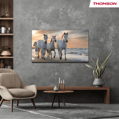 Thomson 65UA5S13 65" Full HD LED Smart TV (65UA5S13)