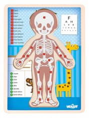 Woody Puzzle Emberi test - Fiú, cseh nyelven