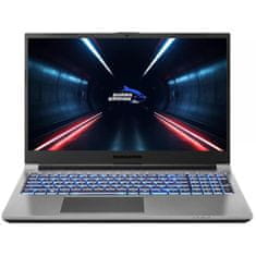 SHARK 8G15-50-HU-01 Laptop 15.6" 1920x1080 TN Intel Core i5 13500HX 1024GB SSD 16GB DDR5 NVIDIA GeForce RTX 4050 Windows 11 Home Ezüst