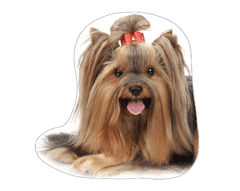 EXCELLENT Díszpárna - Yorkshire Terrier