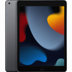 Apple iPad 10.2 Wi-Fi 64GB (spacegrau) 9.Gen (MK2K3FD/A)