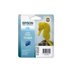 Epson tinta ctrg Light Cyan RX500/RX600/R300/R200 T0485 C13T04854010