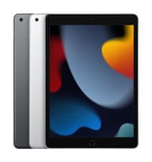 Apple iPad 9.gen/WiFi/10.2"/2160x1620/64GB/iPadOS15/Tér szürke