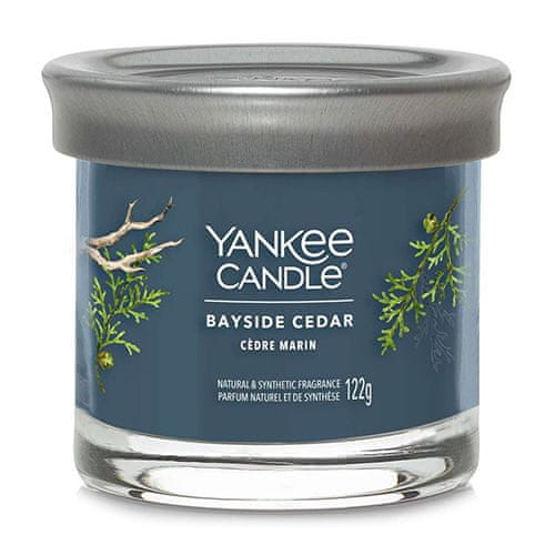 Yankee Candle Svíčka ve skleněném válci , Pobřežní cedr, 122 g