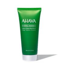 AHAVA Ahava Instant Detox Mud Mask 100ml 