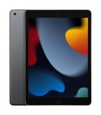 Apple iPad 9.gen/WiFi/10.2"/2160x1620/64GB/iPadOS15/Tér szürke