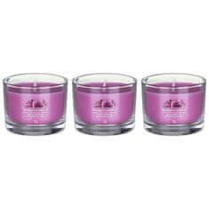 Yankee Candle Illatgyertya szett Wild Orchid 3 x 37 g