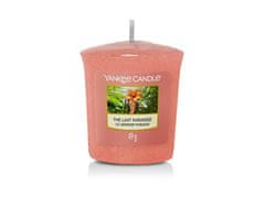 Yankee Candle Illatgyertya The Last Paradise 49 g