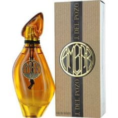 Jesus Del Pozo Ambar - EDT 100 ml