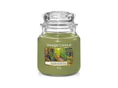 Yankee Candle Illatgyertya Classic Autumn Nature Walk 411 g - közepes